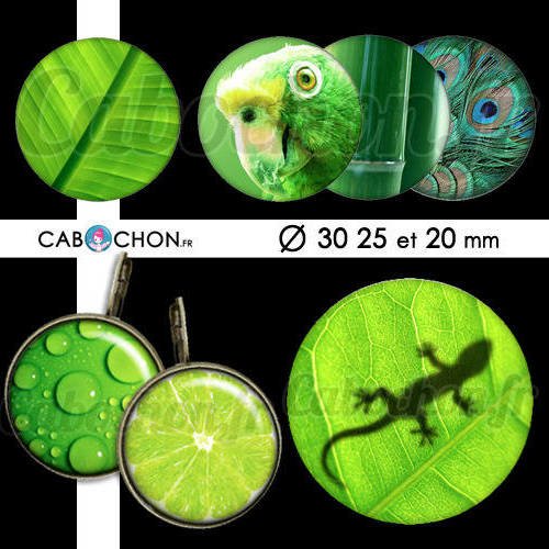 Esprit nature ☆ 45 images digitales rondes 30 25 et 20 mm vert feuille paon citron lézard texture cabochon bijouc planche 