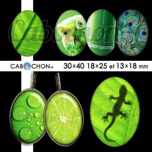 Esprit nature ☆ 45 images digitales numériques ovales 30x40 18x25 et 13x18 mm vert feuille paon citron lézard texture 