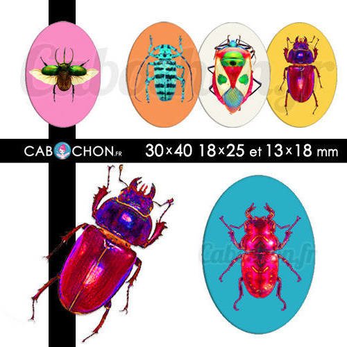 Color optères ☆ 45 images digitales numériques ovales 30x40 18x25 et 13x18 mm coléoptères insectes papillon page d'images cabochons 