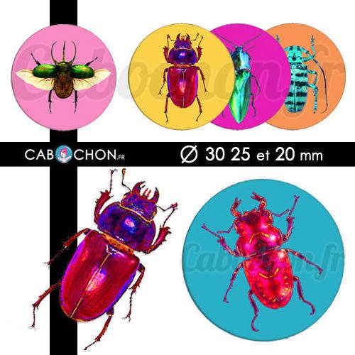 Color optères ☆ 45 images digitales rondes 30 25 et 20 mm coléoptères insectes scarabé page d'images cabochons bijoux 