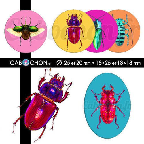 Color optères ☆ 60 images digitales rondes 25 et 20 mm et ovales 18x25 et 13x18 mm coléoptères insectes papillon scarabé page d'images cabochons 