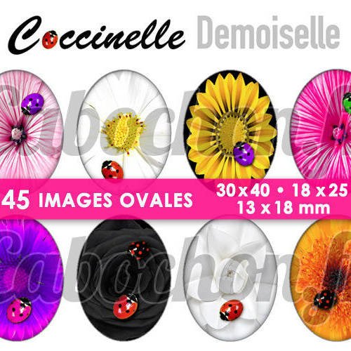 Coccinelle demoiselle ☆ 45 images digitales numériques ovales 30x40 18x25 et 13x18 mm page d'images pour cabochons bijoux miroirs 