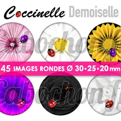 Coccinelle demoiselle ☆ 45 images digitales rondes 30 25 et 20 mm page d'images pour cabochons bijoux miroirs badges 
