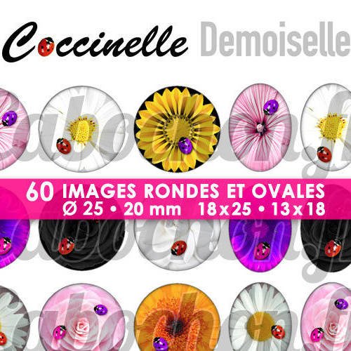 Coccinelle demoiselle ☆ 60 images digitales rondes 25 et 20 mm et ovales 18x25 et 13x18 mm page d'images cabochons badges miroirs bijoux 