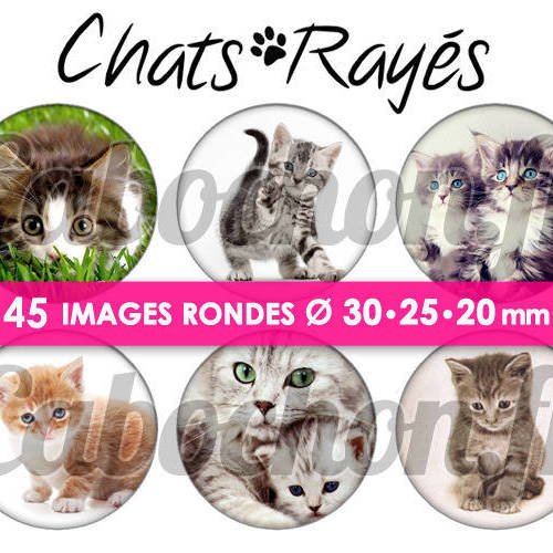 ☆ 45 images digitales / numériques rondes 30 25 et 20 mm ° chats rayés ° - page digitale de cabochons à imprimer 