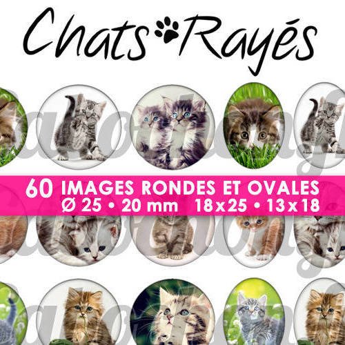 ☆ 60 images digitales / numériques rondes 25 et 20 mm et ovales 18x25 et 13x18 mm ° chats rayés ° - page d'images pour cabochons 
