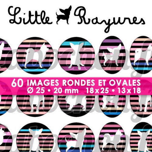 ☆ 60 images digitales / numériques rondes 25 et 20 mm et ovales 18x25 et 13x18 mm ° little chihuahua rayures lll ° - page d'images pour cabochons 