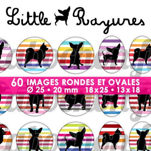 ☆ 60 images digitales / numériques rondes 25 et 20 mm et ovales 18x25 et 13x18 mm ° little chihuahua rayures ll ° - page d'images pour cabochons 