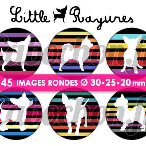 ☆ 45 images digitales / numériques rondes 30 25 et 20 mm ° little chihuahua rayures ° - page digitale de cabochons à imprimer 