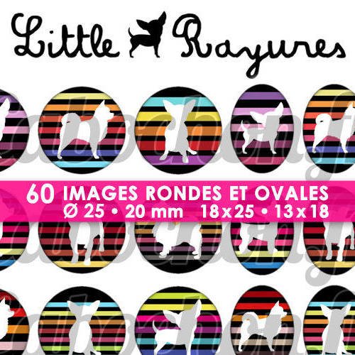 ☆ 60 images digitales / numériques rondes 25 et 20 mm et ovales 18x25 et 13x18 mm ° little chihuahua rayures ° - page d'images pour cabochons 