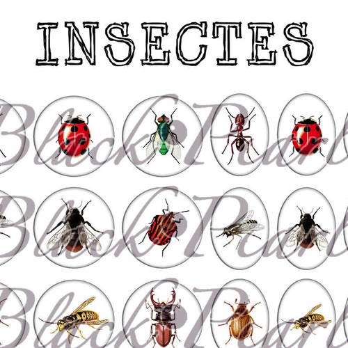 ° insectes ° - page digitale pour cabochons - 60 images à imprimer 