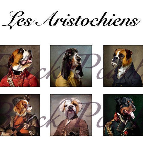 °les aristochiens° - page de collage cabochons - 15 images 