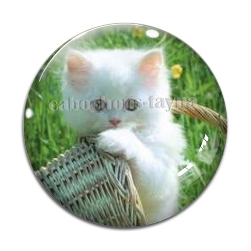 Cabochon chat résine - ou verre différente taille