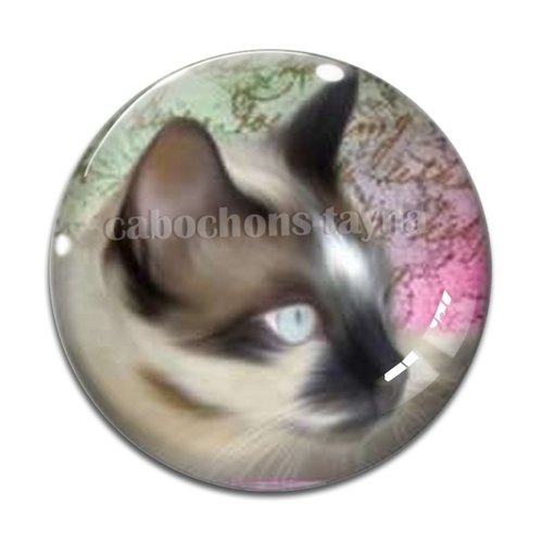 Cabochon chat résine - ou verre différente taille