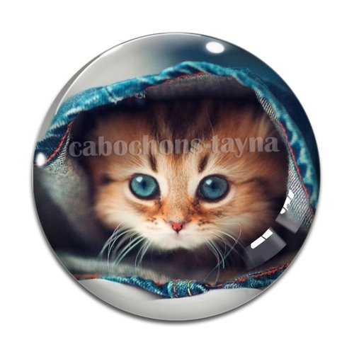 Cabochon chat résine - ou verre différente taille