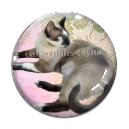 Cabochon chat résine - ou verre différente taille