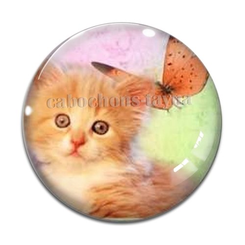 Cabochon chat résine - ou verre différente taille