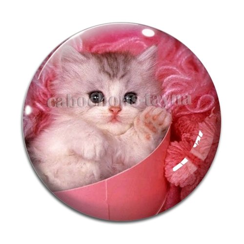 Cabochon chat résine - ou verre différente taille