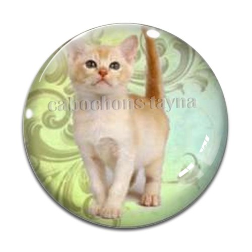 Cabochon chat résine - ou verre différente taille