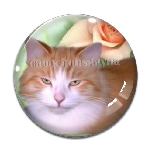Cabochon chat résine - ou verre différente taille