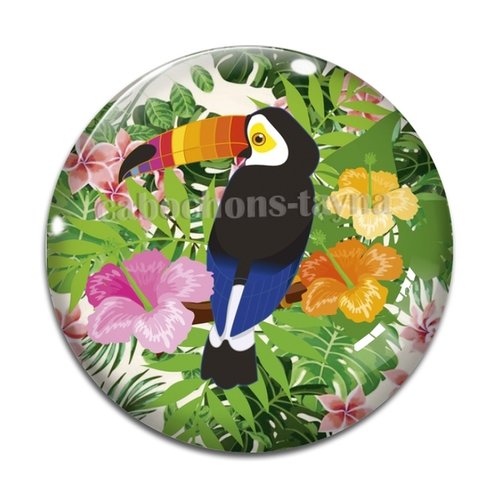 Cabochon toucan oiseau résine - ou verre différente taille