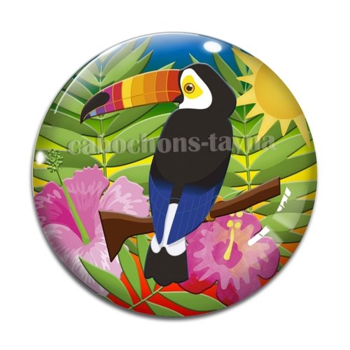 Cabochon toucan oiseau résine - ou verre différente taille