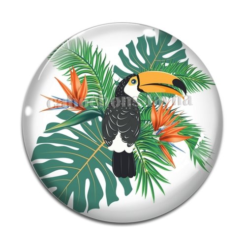 Cabochon toucan oiseau résine - ou verre différente taille