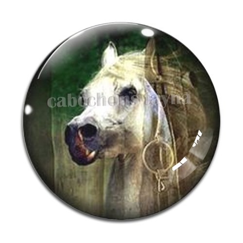 Cabochon cheval, cabochon résine, verre rond différente taille