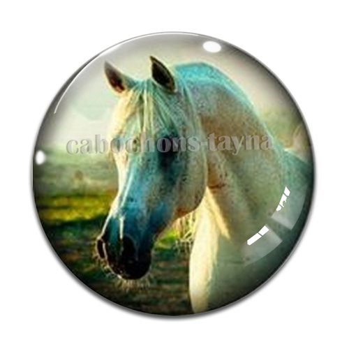 Cabochon cheval, cabochon résine, verre rond différente taille