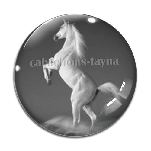 Cabochon cheval, cabochon résine, verre rond différente taille