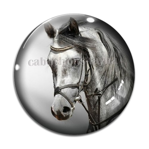 Cabochon cheval, cabochon résine, verre rond différente taille