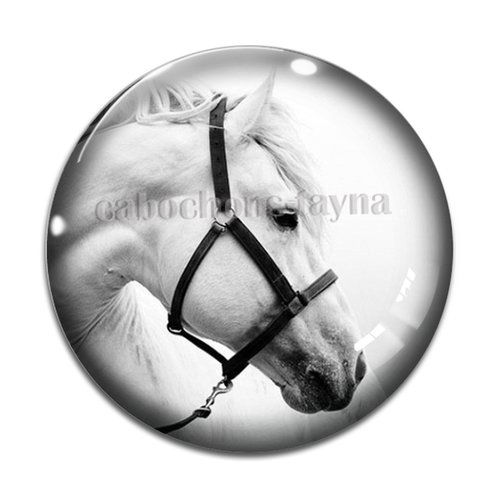 Cabochon cheval, cabochon résine, verre rond différente taille