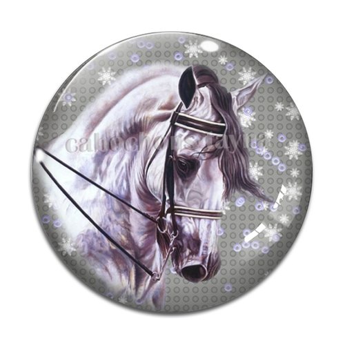 Cabochon cheval, cabochon résine, verre rond différente taille