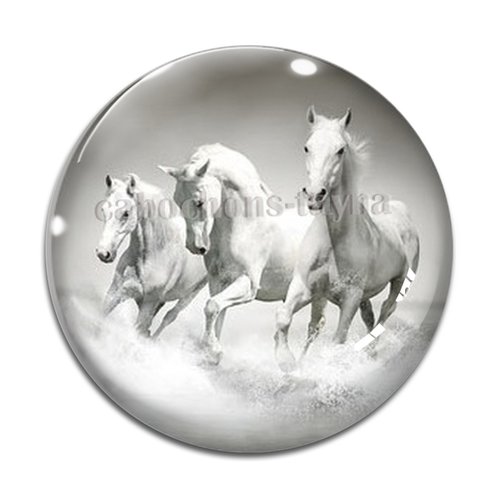 Cabochon cheval, cabochon résine, verre rond différente taille