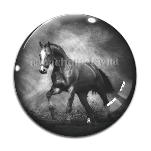 Cabochon cheval, cabochon résine, verre rond différente taille