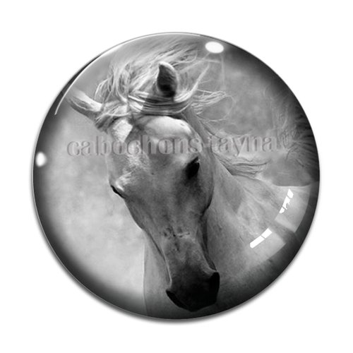 Cabochon cheval, cabochon résine, verre rond différente taille