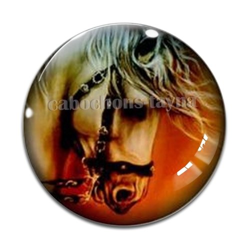 Cabochon cheval, cabochon résine, verre rond différente taille