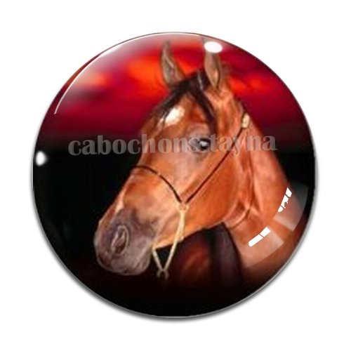 Cabochon cheval, cabochon résine, verre rond différente taille