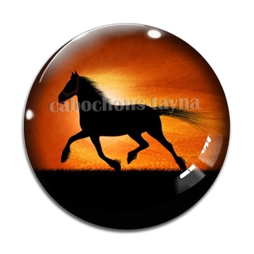 Cabochon cheval, cabochon résine, verre rond différente taille