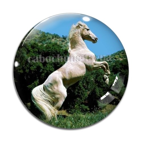 Cabochon cheval, cabochon résine, verre rond différente taille