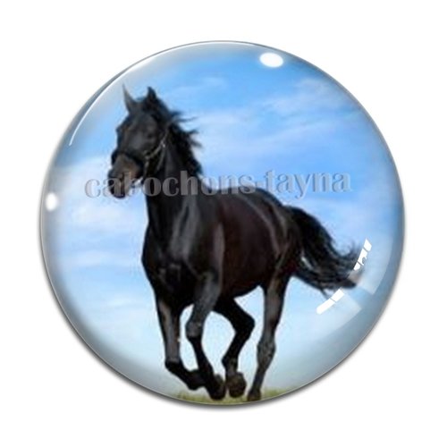 Cabochon cheval, cabochon résine, verre rond différente taille