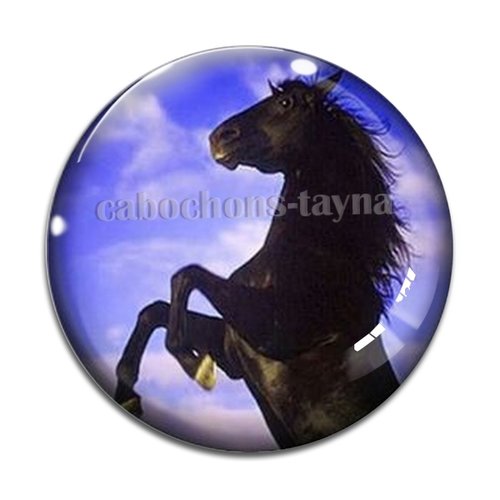 Cabochon cheval, cabochon résine, verre rond différente taille
