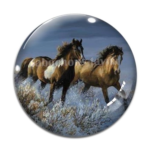Cabochon cheval, cabochon résine, verre rond différente taille