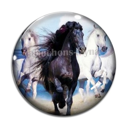 Cabochon cheval, cabochon résine, verre rond différente taille