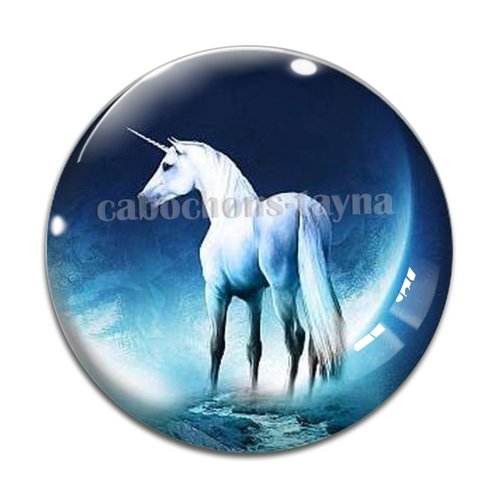 Cabochon cheval, cabochon résine, verre rond différente taille