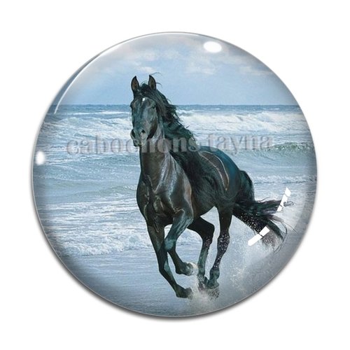 Cabochon cheval, cabochon résine, verre rond différente taille