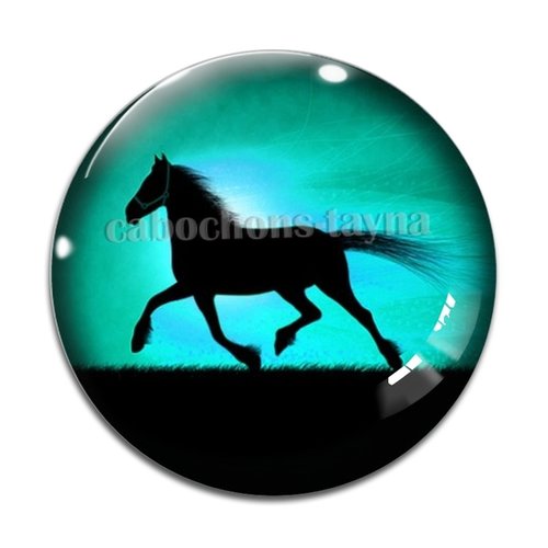 Cabochon cheval, cabochon résine, verre rond différente taille