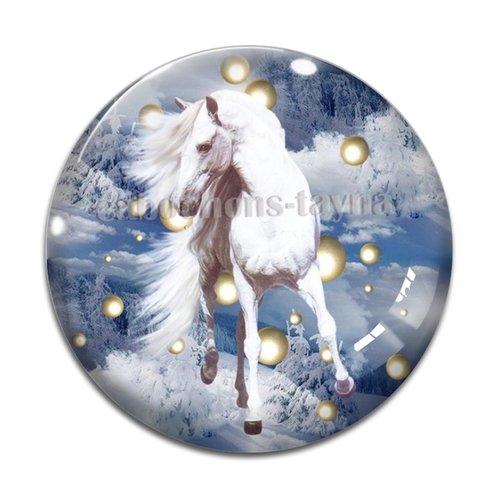 Cabochon cheval, cabochon résine, verre rond différente taille