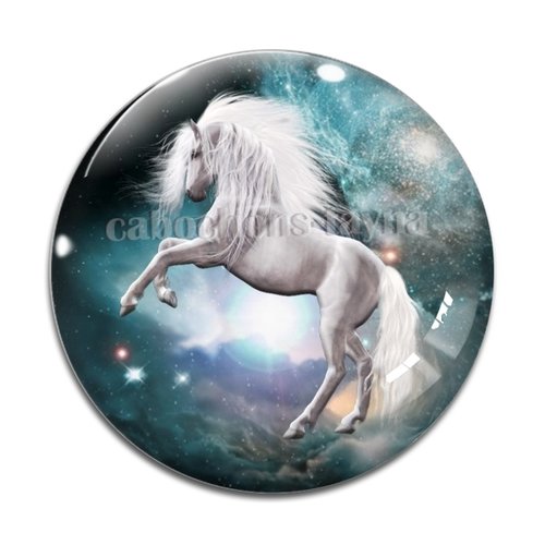 Cabochon cheval, cabochon résine, verre rond différente taille