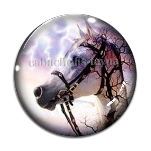 Cabochon cheval, cabochon résine, verre rond différente taille